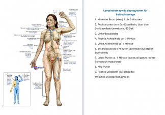 Tabelle Lymphsystem